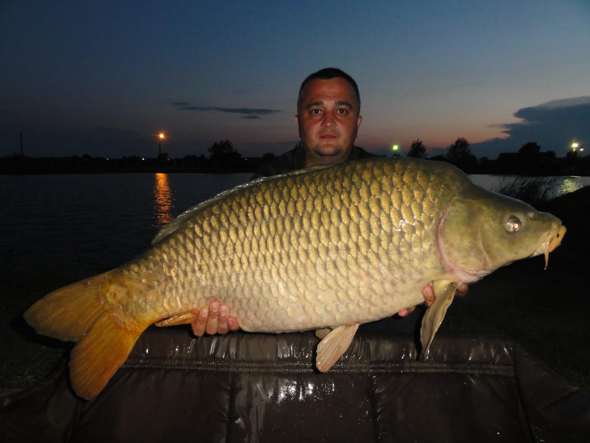 Iunie 2013 - Siclau - iunie 2013